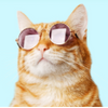 Avatar of pers1k