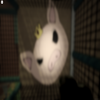 Avatar of LiamRuby