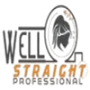 Avatar of Well Straight Professional