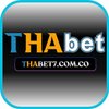 Avatar of Thabet