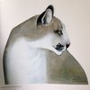 Avatar of vector0818