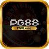 Avatar of PG88cab