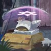 Avatar of cheemsy11