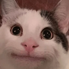 Avatar of mdhub