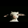 Avatar of MooSchmoo