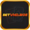 Avatar of betvndmoe