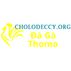 Avatar of Đá Gà Trực Tiếp Thomo