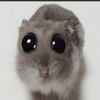 Avatar of 2msr382000