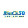 Avatar of Banca30