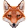 Avatar of StreamingF51173