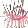Avatar of カヤ（Kaya）