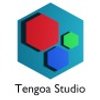 Avatar of Tengoa_Studio