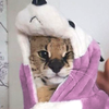 Avatar of jessiblop