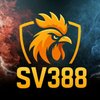 Avatar of SV388