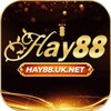 Avatar of HAY88