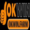 Avatar of Okwinfarm