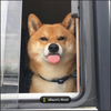 Avatar of egduar743