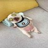 Avatar of PibbleLover