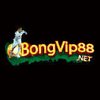 Avatar of bongvip88