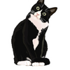 Avatar of CatzRcool