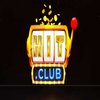 Avatar of HIT CLUB