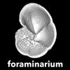 Avatar of foraminarium