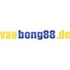 Avatar of VAO BONG88