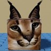 Avatar of multiblox