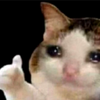 Avatar of fatloser