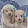 Avatar of 3201818262