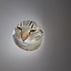 Avatar of Ing_eO