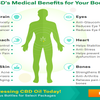 Avatar of Sarah's Blessing CBD Oil