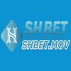 Avatar of SHBET