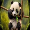 Avatar of panda