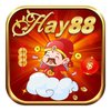 Avatar of hay88cfd