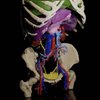 Avatar of Federico Espinola MD, MSc