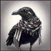 Avatar of Bran Charlet