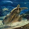 Avatar of Anomacaris