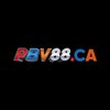 Avatar of pbv88ca