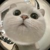 Avatar of Xin_0904