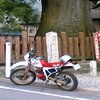 Avatar of yoshiak