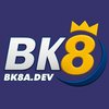 Avatar of bk8adev