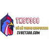 Avatar of svbet388