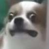 Avatar of Millie_Mage