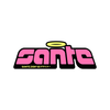 Avatar of Sante 3D