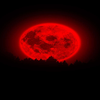 Avatar of MOST-WNATED