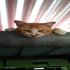 Avatar of Afif_master
