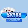 Avatar of sky8888org