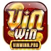 Avatar of Vinwinn Pro