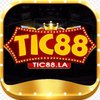 Avatar of TIC88